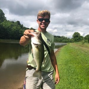 Meet your Posher, Carter